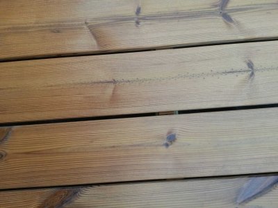 Termo skandinaviškos pušies terasinė lenta 26x117x4800 - Image 4