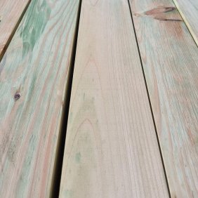 kalibruotas tasas egles