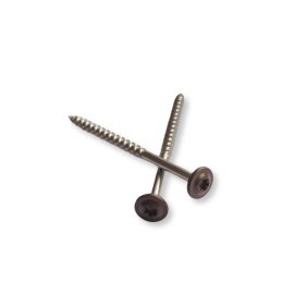 Medsraigtis placia galva ruda spalva A2