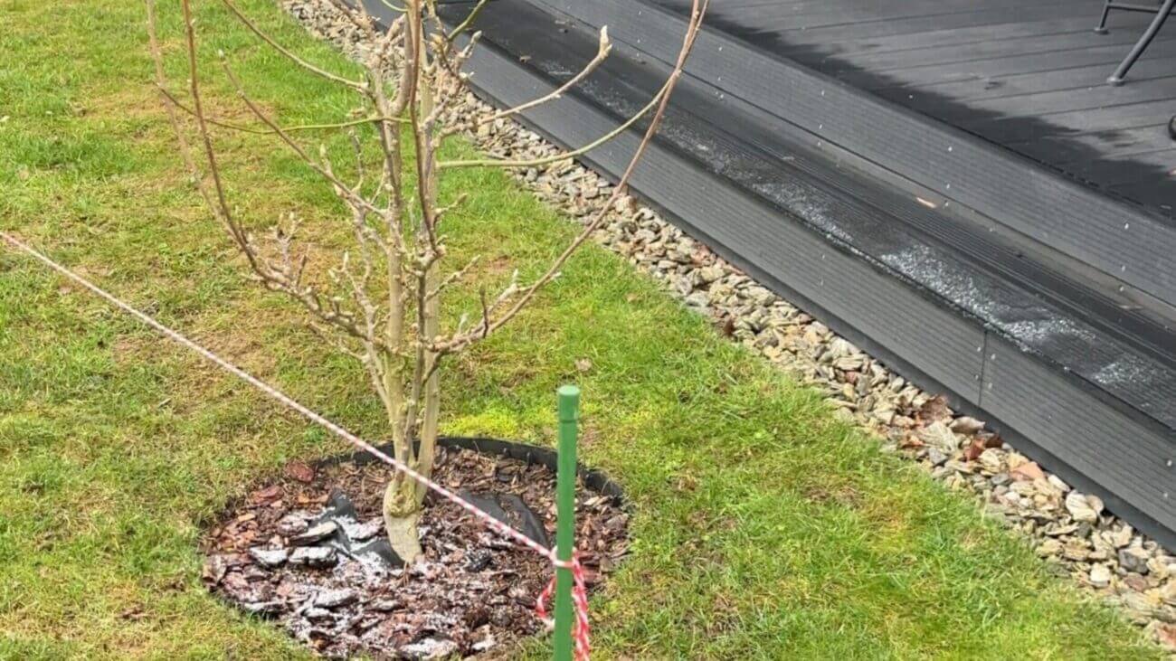 Kaip pasirinkti terasos formą?